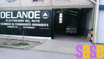 Delanoe - Electricidad del automotor - Neuquén