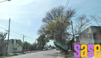 Escuela Dalmacio Velez Sarfield - Vélez Sársfield 401-499