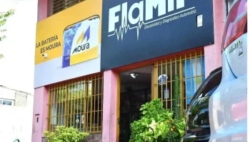 FlaMir Electricidad - Tupungato