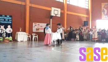 Instituto Nuestra Señora del Carmen - Villa Mercedes