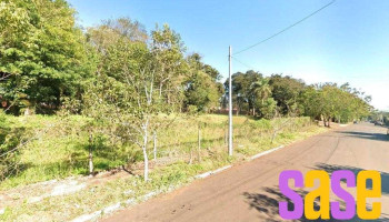 Instituto San Lucas - Los Cedros 78
