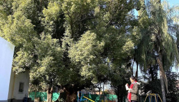 Jardin Colegio San Javier - Yerba Buena