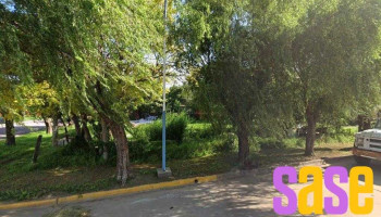 La Esquina del Arte - Chañar Ladeado