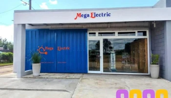 Megaelectric - James Craik