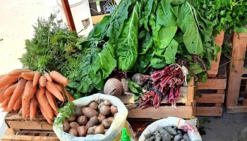 Mercado Municipal de Maimará - Maimara