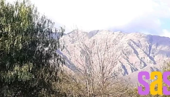 Radio Cruz de Caña - La Paz
