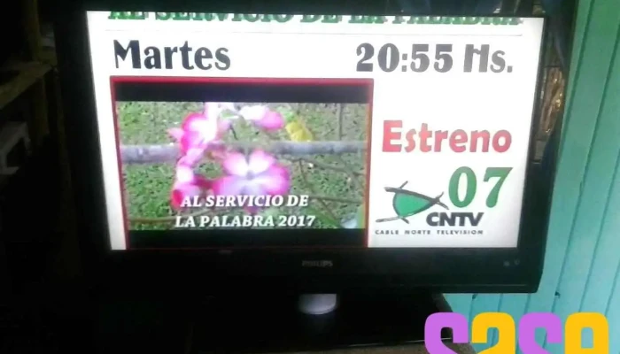 Acuario Electronica -  Puntaje - Leandro N. Alem