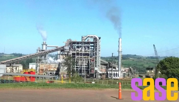 Arauco Argentina S.a. - Aserradero - Puerto Piray
