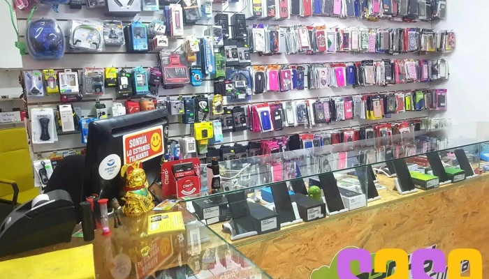 Bachy Electronica -  Interior - Trelew