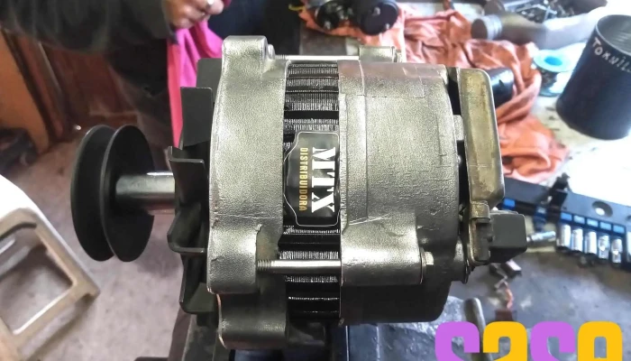Barba Negra Electricidad Del Automotor -  Del Propietario - Trelew