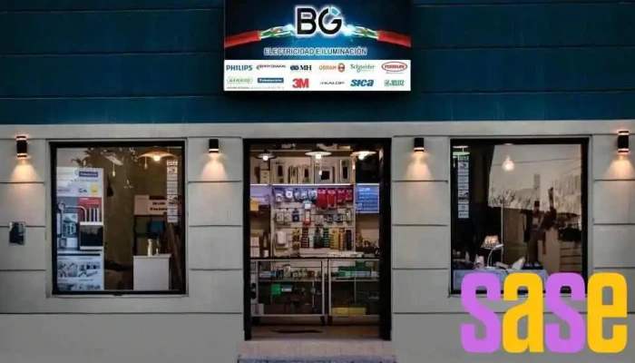 Bg Electricidad -  Comentarios - Rosario de Lerma