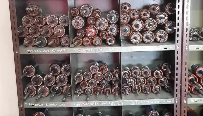 Bobinados Lg Solo Arranque Y Alternador Automotor Interior - Guaymallén
