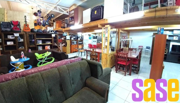 Campo Muebles -  Silla - Campo Viera