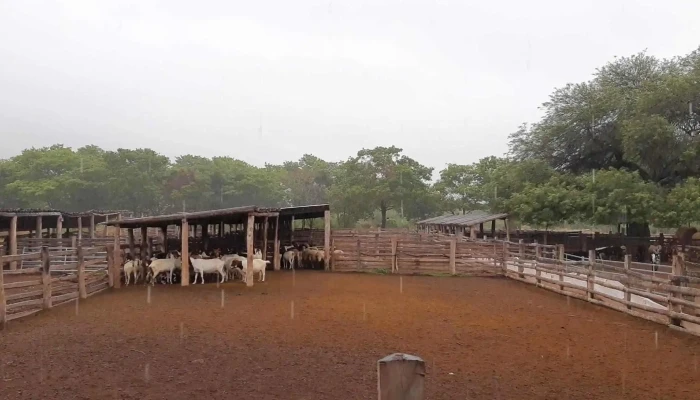 Cedeva Laguna Yema -  Videos - Laguna Yema