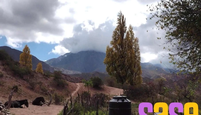 Central Termica Tinogasta -  Instagram - San Fernando del Valle de Catamarca