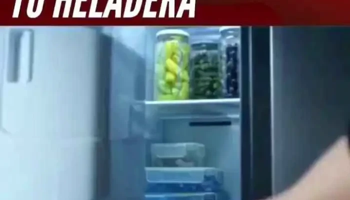 Ces Electronica Del Propietario - Cdad. Autónoma de Buenos Aires