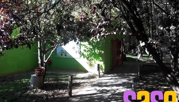 Colegio Verde Limón - Nivel Inicial y Primario - Cipolletti