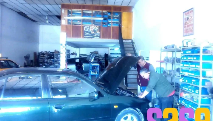 Delanoe -    Electricidad Del Automotor Del Propietario - Neuquén