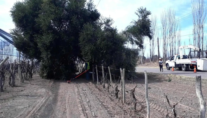 Edeste -  Precios - San Martín