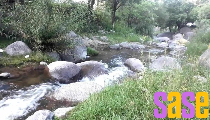 El Rodeo -  Videos - El Rodeo