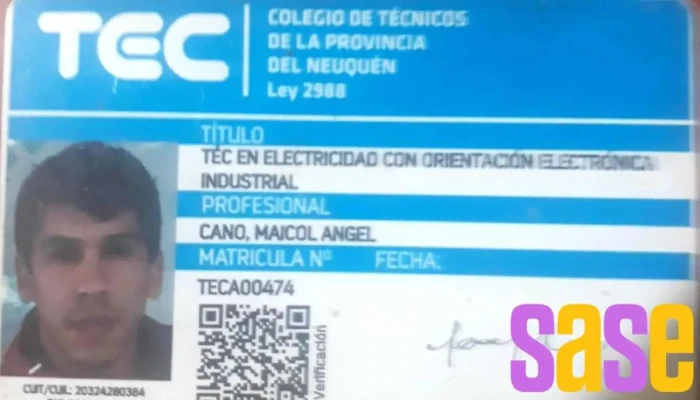 Electrico Matriculado -  Del Propietario - Plottier