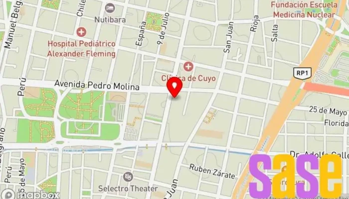 mapa de Electro san carlos  en Mendoza
