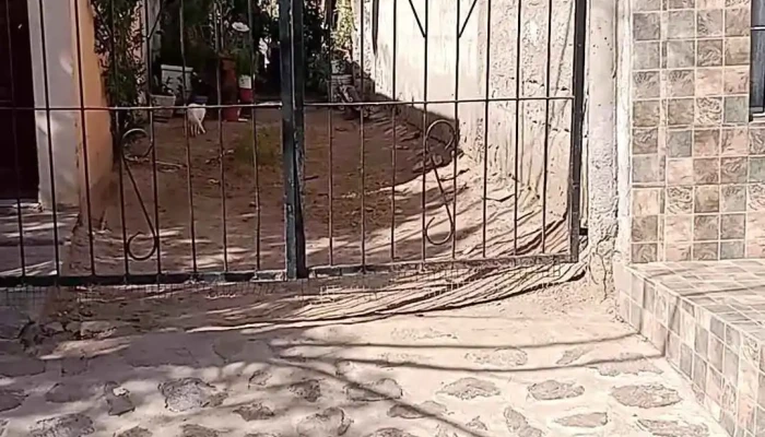 Electromax -  Videos - San Fernando del Valle de Catamarca