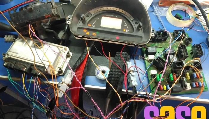 Electronica Del Automotor Catalogo - Mendoza