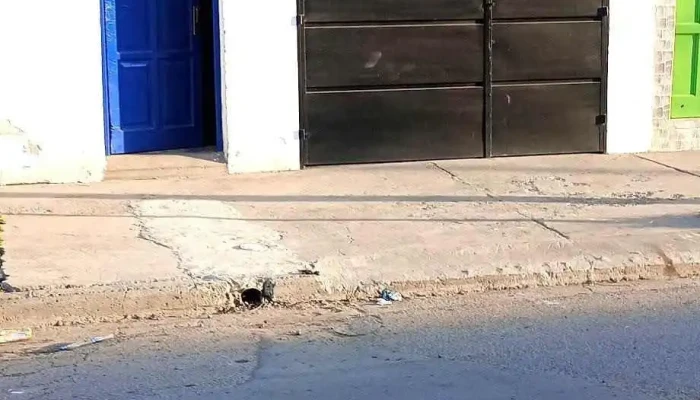 Electronica Mitre -  Numero - San Ramon de la Nueva Oran