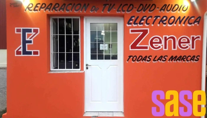 Electronica Zener Puntaje - Río Grande
