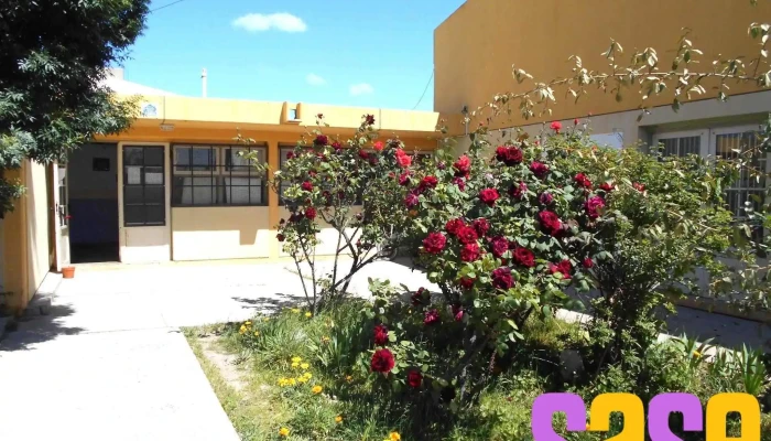 Escuela Primaria N°146 Maria Amelia Batestin De Sar - Río Negro