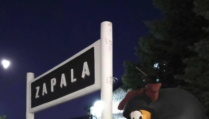Estacion Zapala Telefono - Zapala