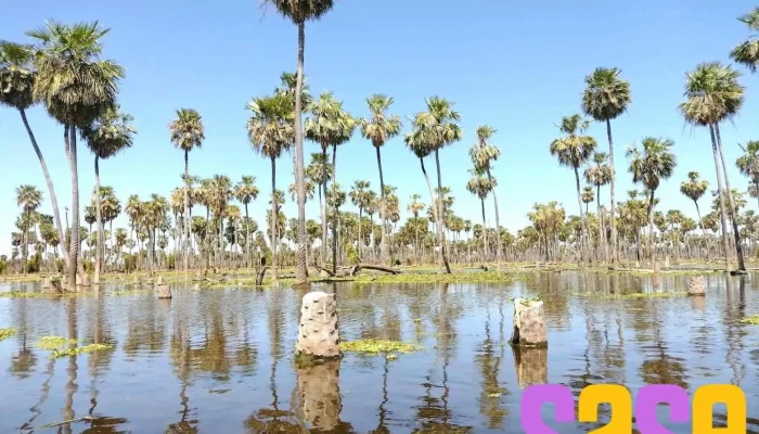 Estero Poi(Parque Nacional Río Pilcomayo) - Laguna Blanca