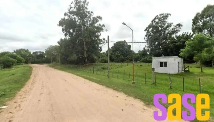 Fm Lo Que Raye -  Principal - Palmar Grande