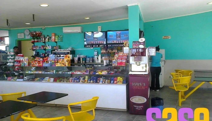 Gnc Ceez -  Interior - Zapala