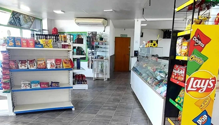Gnc Ceez -  Promocion - Zapala