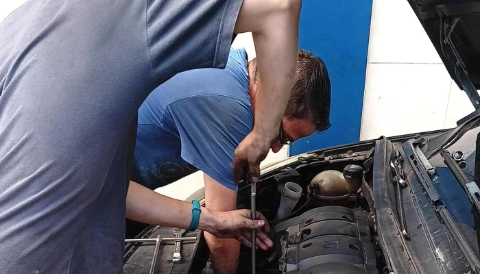Guillermo Alvarez Electricidad Del Automovil - Godoy Cruz