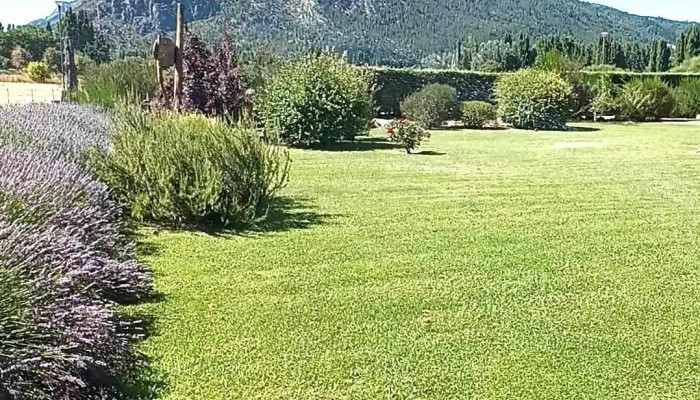 Hosteria El Hoyo -  De Los Visitantes - El Hoyo