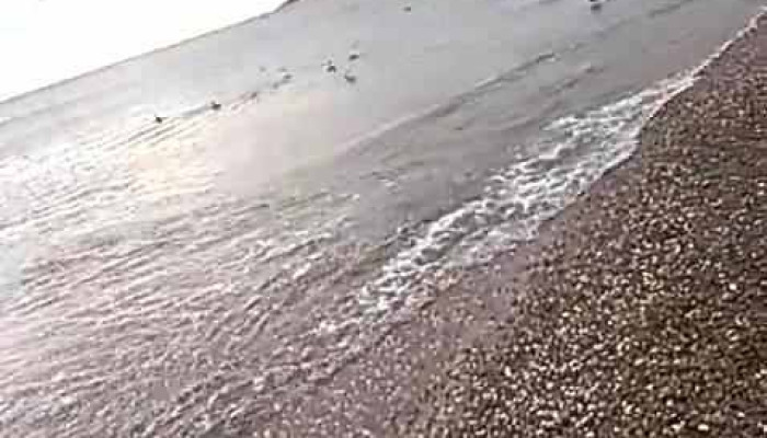Instituto Ipet -  Videos - Puerto Madryn