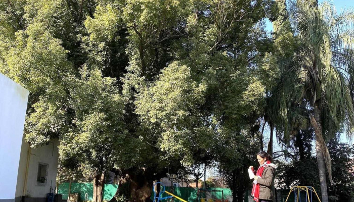 Jardin Colegio San Javier - Yerba Buena