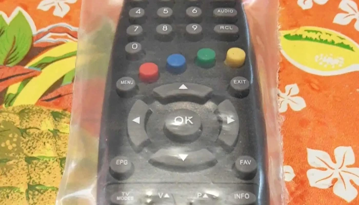 La Casa Del Control Remoto Er Videos - Gualeguaychú