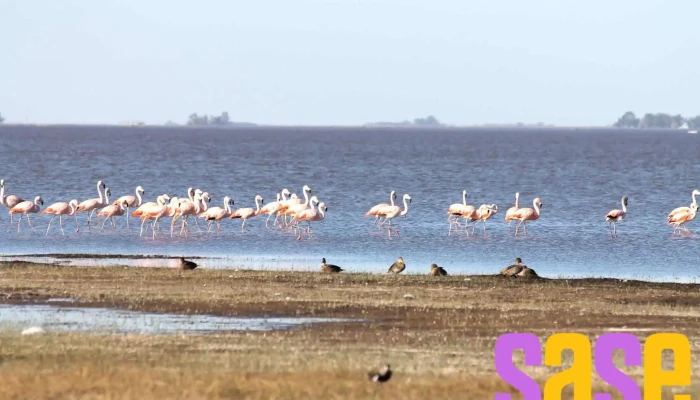 Laguna Melincué - Argentina