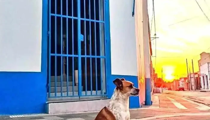 Lanfranco Electricidad E Iluminacion Horario - Nogoyá