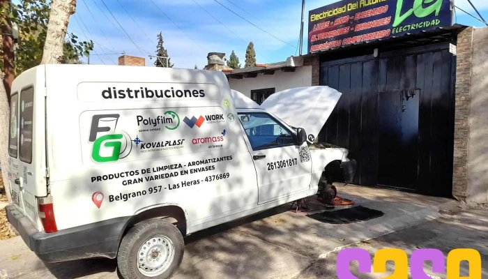 Lg Electricidad Del Automovil Del Propietario - Las Heras