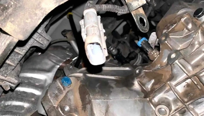 Mecanica Y Electricidad Diagnostico Computarizado -  Comentarios - San Rafael
