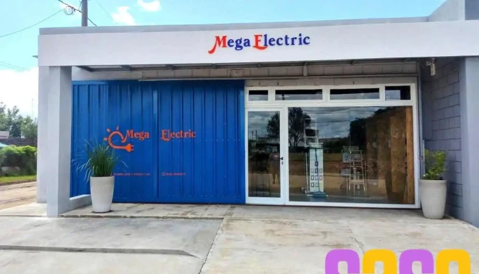 Megaelectric - James Craik
