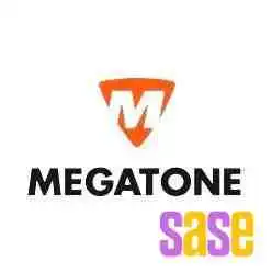 Megatonenet Del Propietario - Chamical