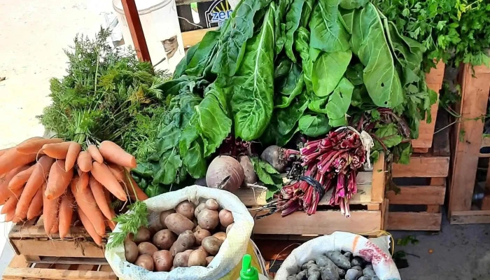 Mercado Municipal de Maimará - Maimara