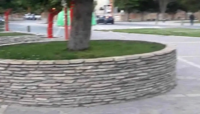 Municipalidad De Zapala -  Videos - Zapala