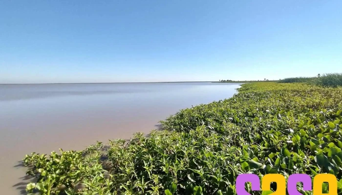 Parque Nacional Rio Pilcomayo Mas Recientes - Laguna Blanca
